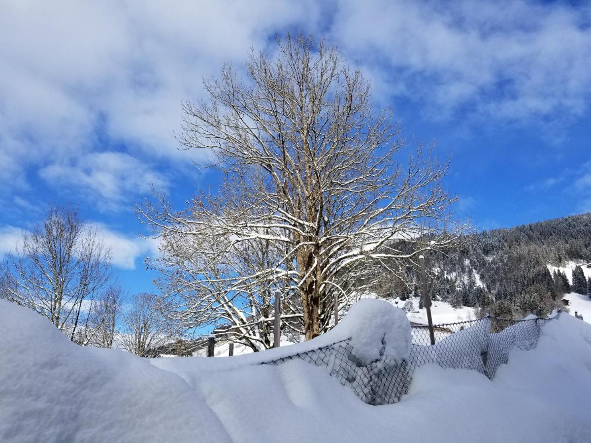 Alpenhotel Wildschoenau B&B Zewnętrze zdjęcie